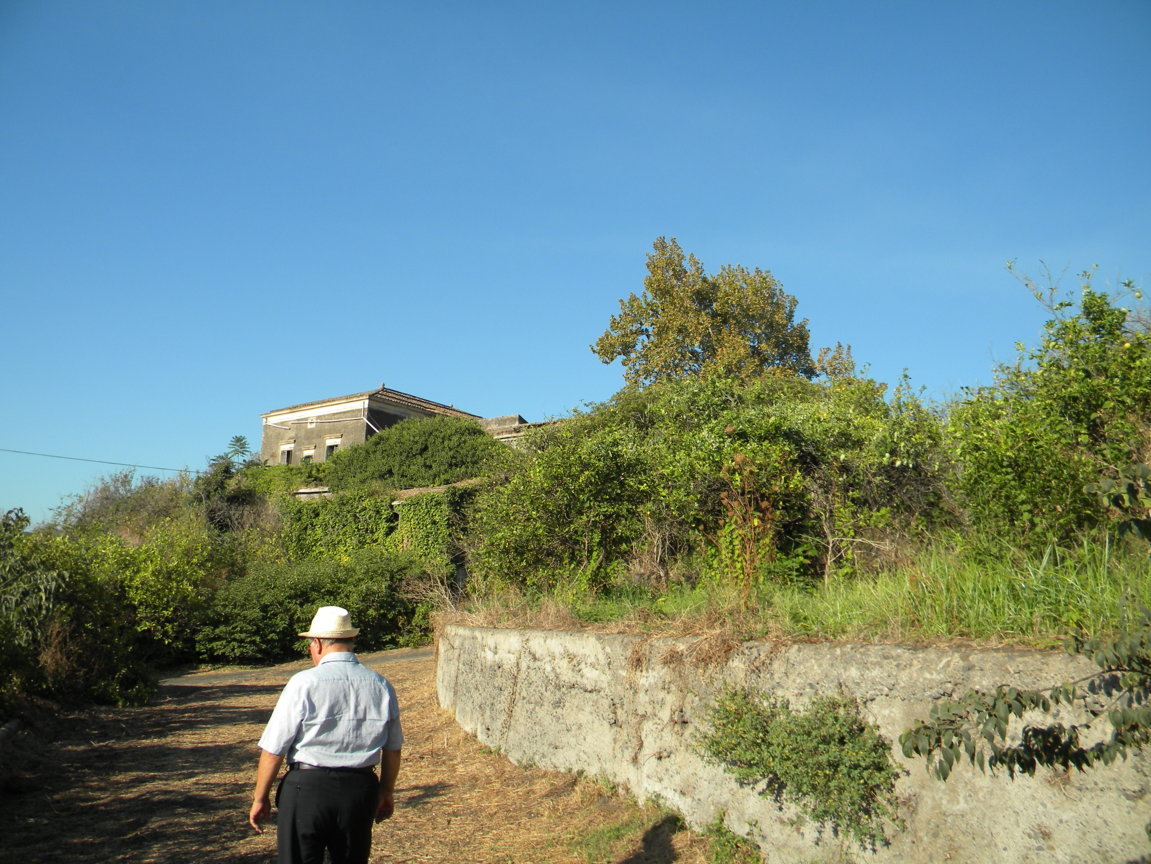 DSCN8063 .JPG